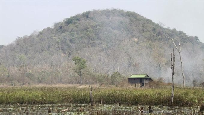 Four Vietnamese caught poaching in Cambodia