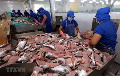 Vietnam’s tra fish exports to ASEAN up 18 percent