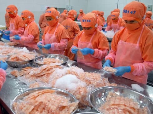 CPTPP – a driver of shrimp export to Canada