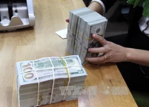 Economists: exchange rate increases not a concern