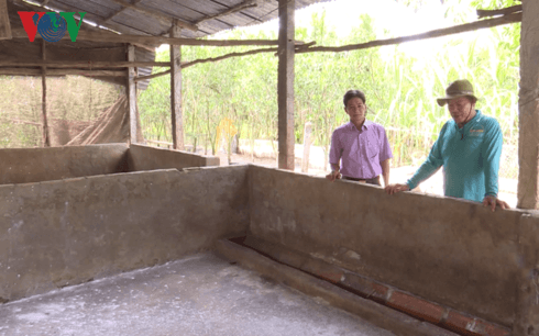 First Mekong Delta province reports African swine fever