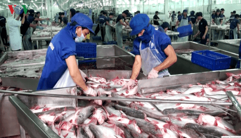 Tra fish exports to Japan skyrocket in four months