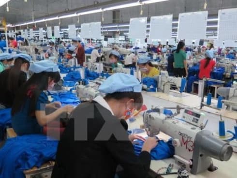 White Book on Vietnamese businesses 2019 to come late May: GSO