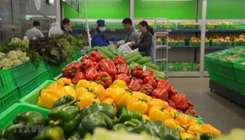 Fruit, vegetable exports bounce back in April