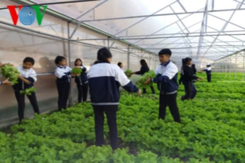 Lam Dong students practice high-tech agriculture