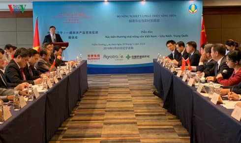 China still key market for Vietnamese farm produce