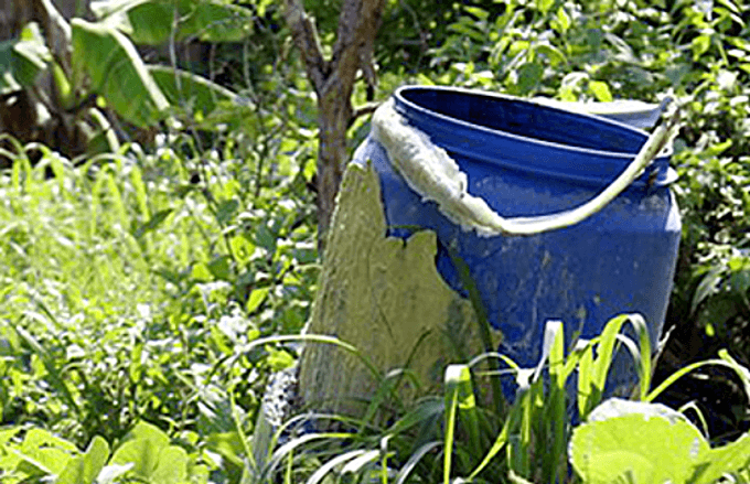 Men killed, entombed in concrete for disobeying sect’s rules