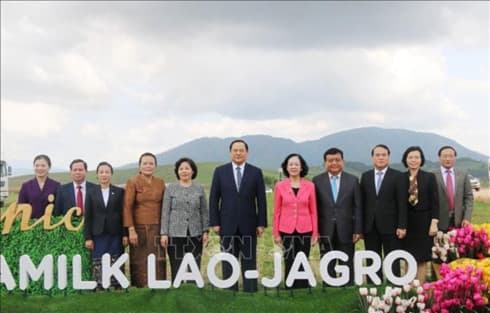 Vinamilk expands organic milch cow breeding in Laos
