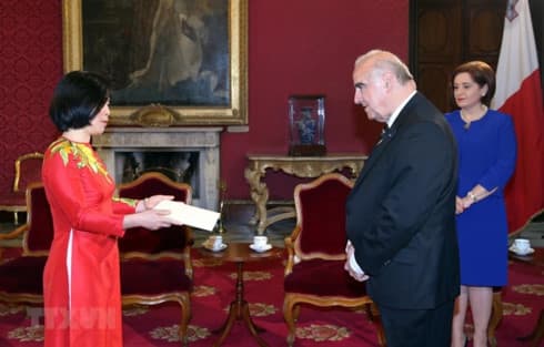 Vietnam wants to promote relations with Malta: Ambassador