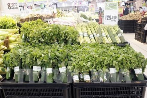 Green consumption campaign kicks off in HCM City