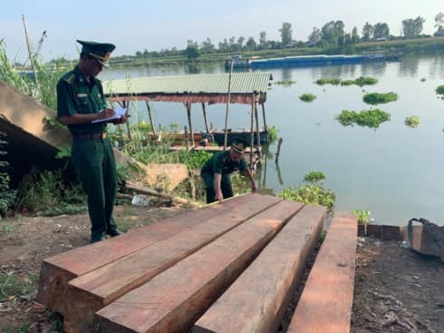 Border guard forces in An Giang crack down on timber smuggling