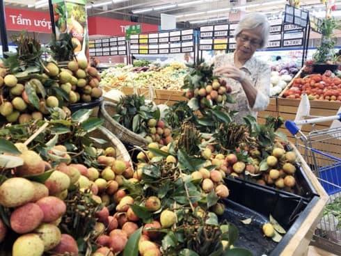 Luc Ngan “thieu” lychee to be promoted in Hanoi