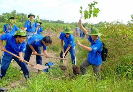 HCM City launches activities in response to World Environment Day