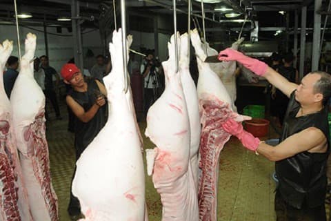 Pork shortage expected later this year