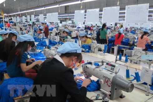 Garment-textile, fruit-vegetable exports surge