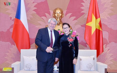 NA leader welcomes lower house Vice Chairman of Czech