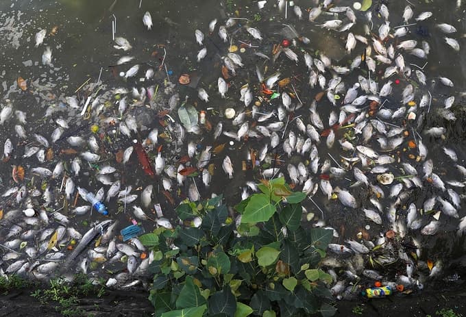 World Bank sounds warning about Vietnam’s gloomy water situation