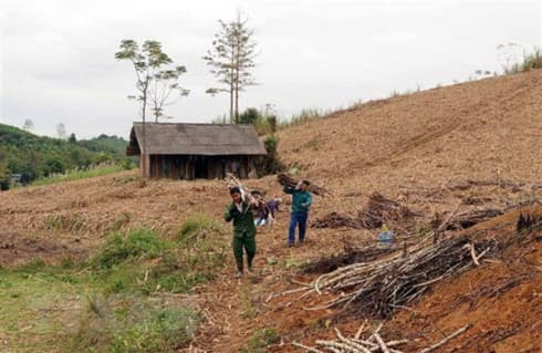 Sugar prices likely to trend up due to lack supply
