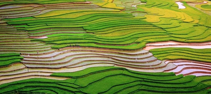Scintillating sight: waterlogged fields in Vietnam’s northern highlands