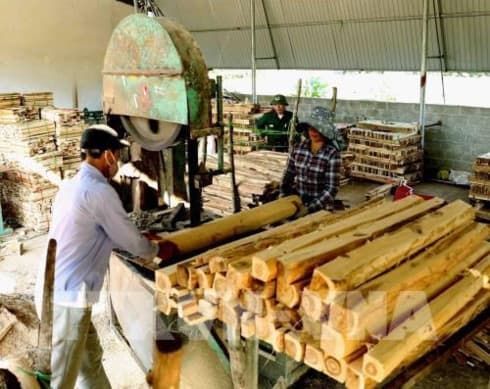 Forestry exports jump nearly 20 percent in year’s first half