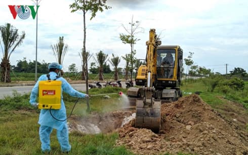 Thua Thien Hue takes drastic measures to combat spread of ASF