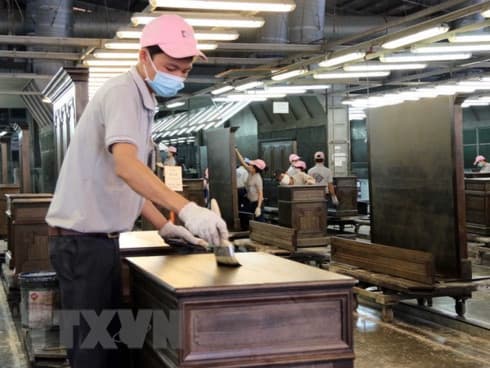 Trade fraud risks in wood industry warned