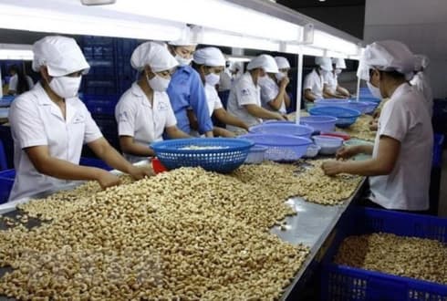 Workshop suggests ways to tap into Middle Eastern, African markets