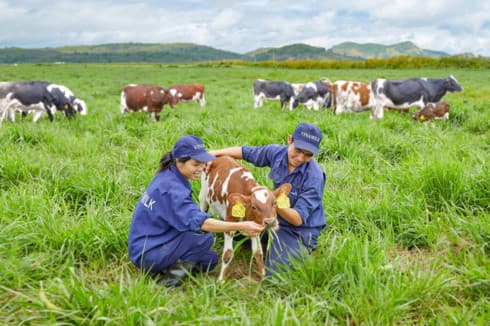 Vinamilk on the way to develop Vietnam’s dairy industry