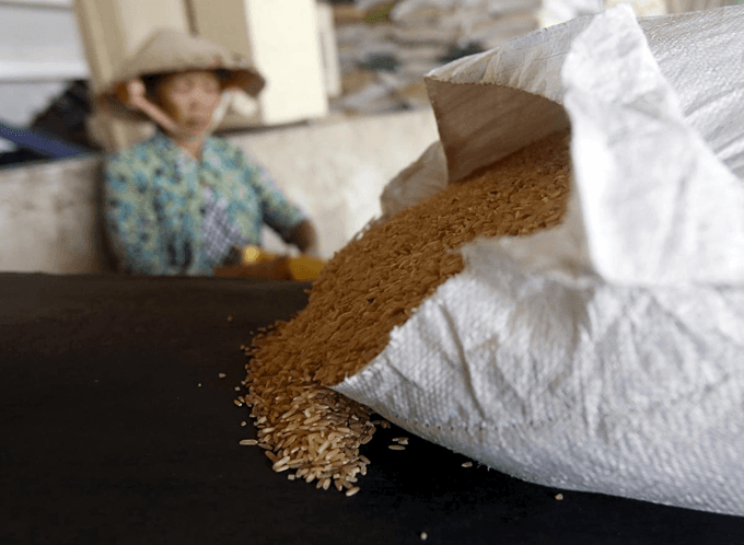 Rice exports shrink in first five months