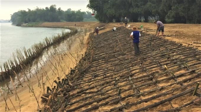 Woman takes leaf out of Mother Nature’s book to protect eroding riverbanks