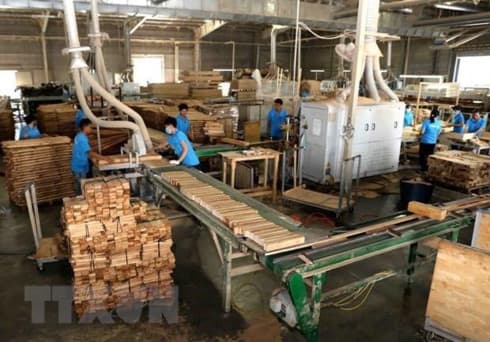 Promoting socially responsible practices in wood, seafood processing