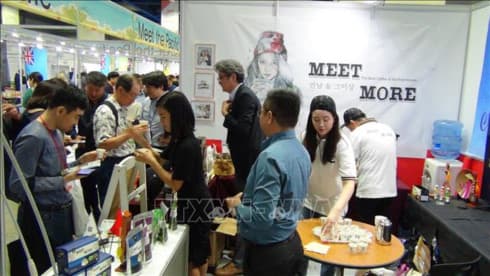 Vietnamese firms attend IGF 17 event in Seoul