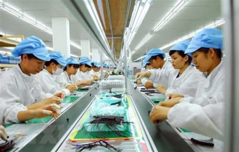 CPTPP to help bolster Vietnam-Mexico trade: Ambassador