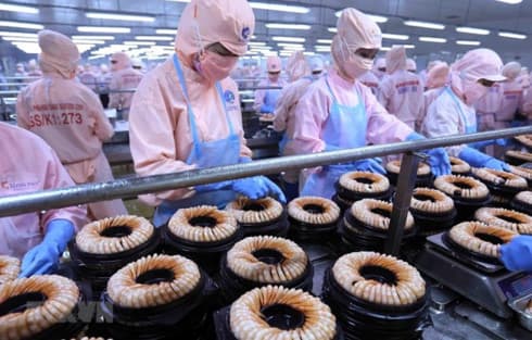 WB highlights benefits, challenges from FTA with EU to Vietnam