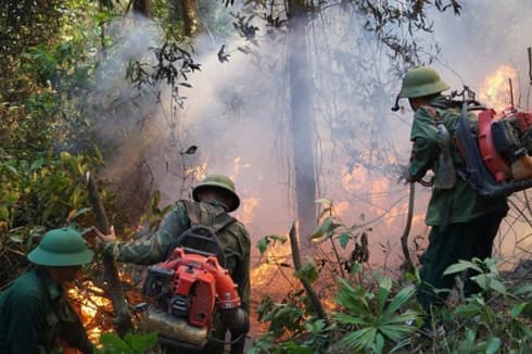 Forest fires threaten 500kV power line in central Vietnam