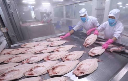 EVFTA shows Vietnam’s policy of supporting free trade: WB