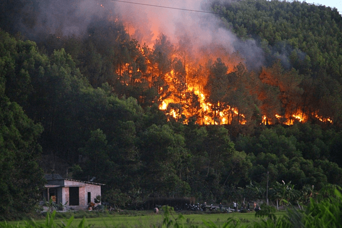 Neither safe nor effective to deploy copters in forest fire fight