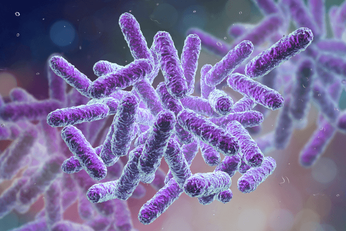 Vietnam hospitals a hotspot of antibiotic-resistant bacteria
