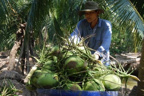 E-commerce needs new push to reach rural areas