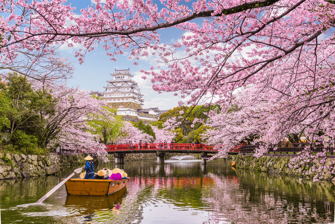 Japan stops issuing visas for eight Vietnam travel firms
