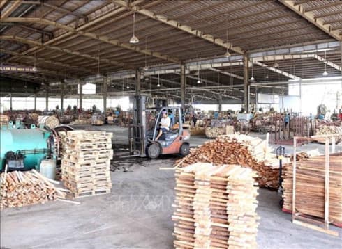 EVFTA to sustainably boost Vietnam’s wood exports to EU
