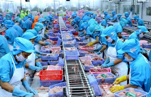 Aquatic exports likely to hit 10 billion USD in 2019