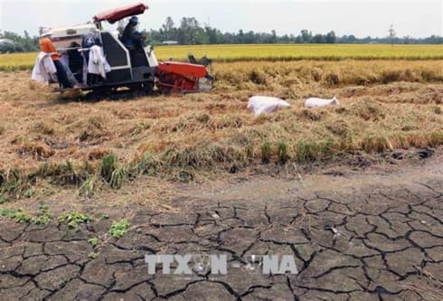Drought forecast for central, south-central coastal provinces in 2019