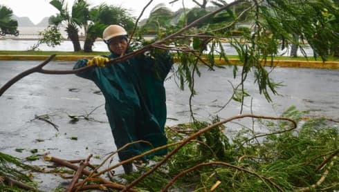 How many storms will Vietnam face in 2019?