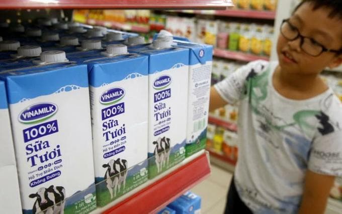 Singapore investment giants persist in effort to buy stake in Vinamilk