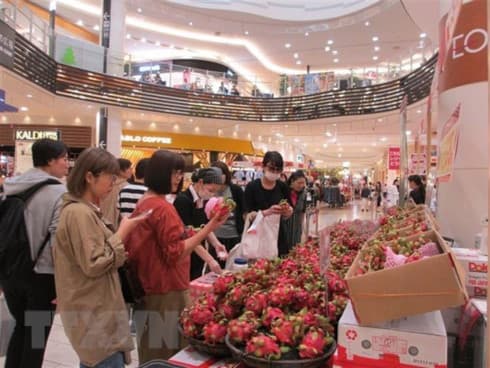 Veggie, fruit exports rise 3.9 percent in H1