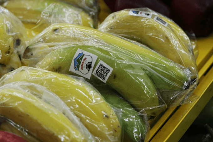 HAGL seeks to sell 6.77 pct stake in agriculture subsidiary