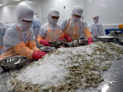 Seafood exports nears 4 billion USD in first half