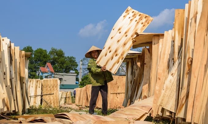 Origin fraud threatens duties on Vietnamese wood, seafood exports to US