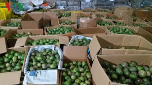 Son La boosts trade promotion activities for exports of farm produce